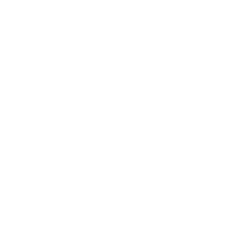 Ícono 1